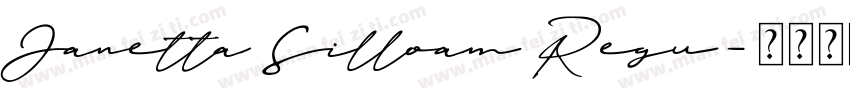 Janetta Silloam Regu字体转换